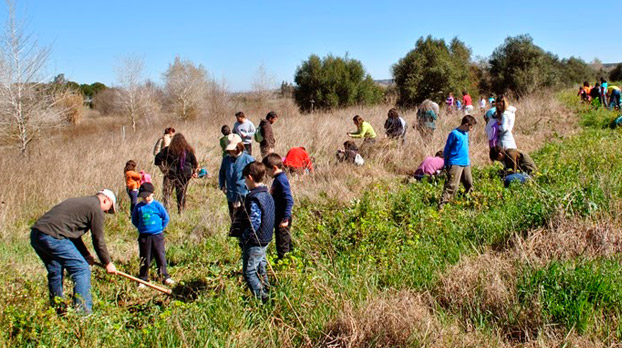 niños-sevilla-reforestación-pachilofeos-2-sevillaconlospeque