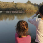 Cañada de los pájaros, niños observando las aves | Sevilla con los peques