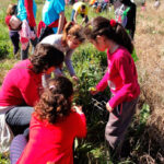 Reforestación Pachilofeos 00 | Sevilla con los peques