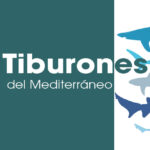 Taller tiburones del mediterráneo en casa de la ciencia | Sevilla con los peques