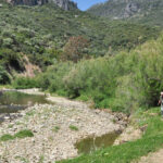 Parque Natural de la Sierra de Grazalema, vista con niños | Sevilla con los peques