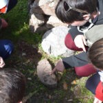 Safari medioambiental | Sevilla con los Peques