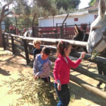 Granja Escuela Cuna propone una actividad extraescolar para aprender inglés practicando actividades de granja | Sevilla con los Peques