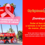 Un paseo contra el cáncer de mama | Sevilla con los Peques