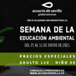 Día Mundial de la Educación Ambiental