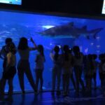 Nuevas actividades en el Acuario de Sevilla | Sevilla con los Peques