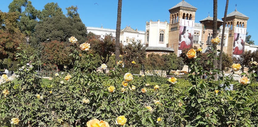 Detalle del Parque de María Luisa en la Gymkhana cultural | Sevilla con los peques 