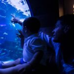 Familias con niños en el Acuario de Sevilla | Sevilla con los peques