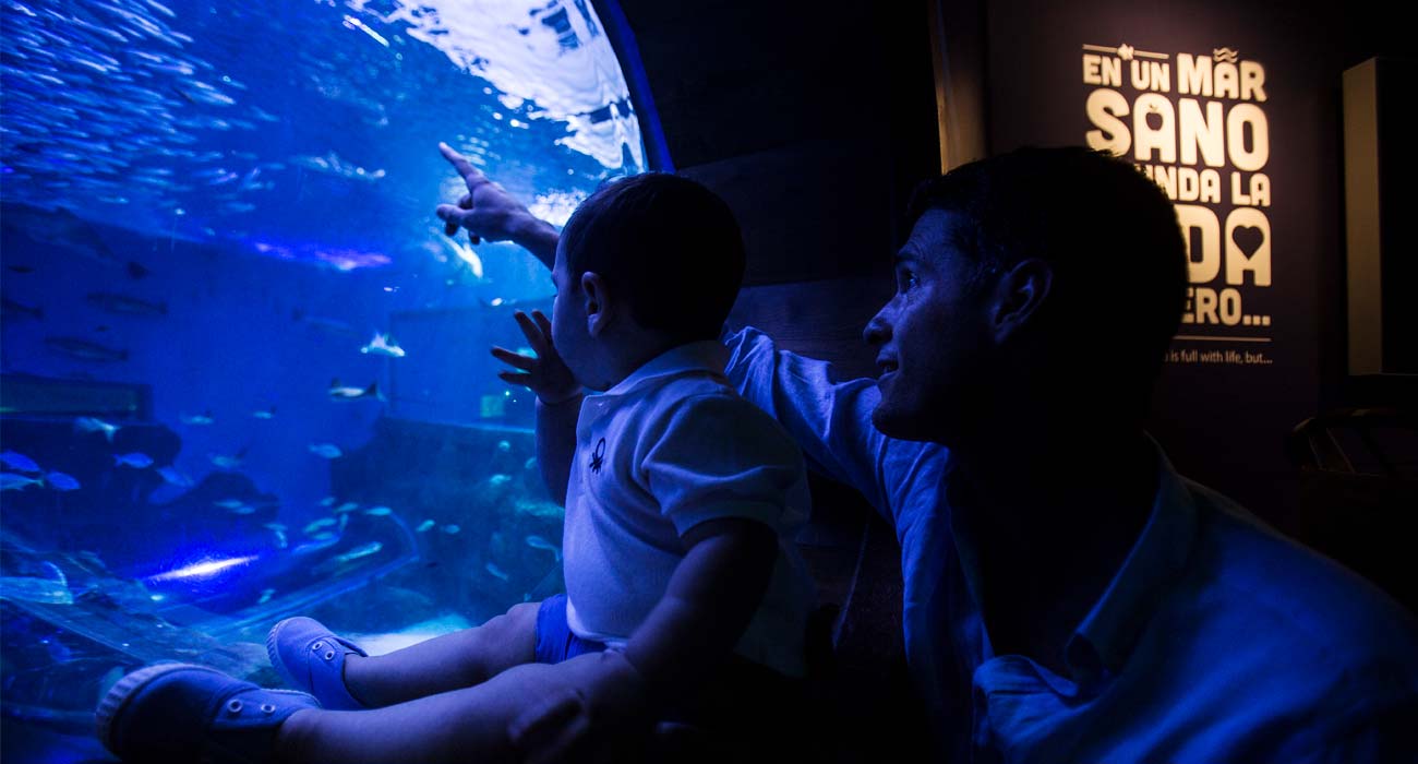 Familias con niños en el Acuario de Sevilla | Sevilla con los peques