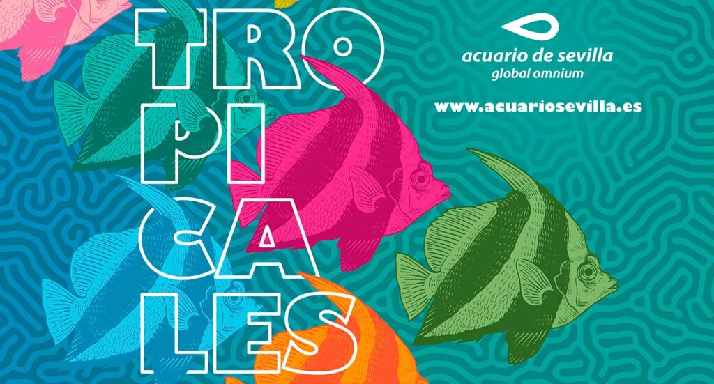 Cartel de Los mares tropicales son los protagoniatas este verano del Acuario de Sevilla | Sevilla con los peques