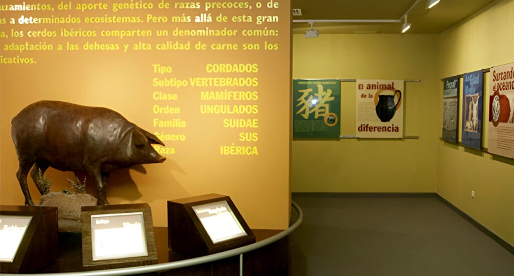 Museo del jamon de Aracena | Sevilla con los epques